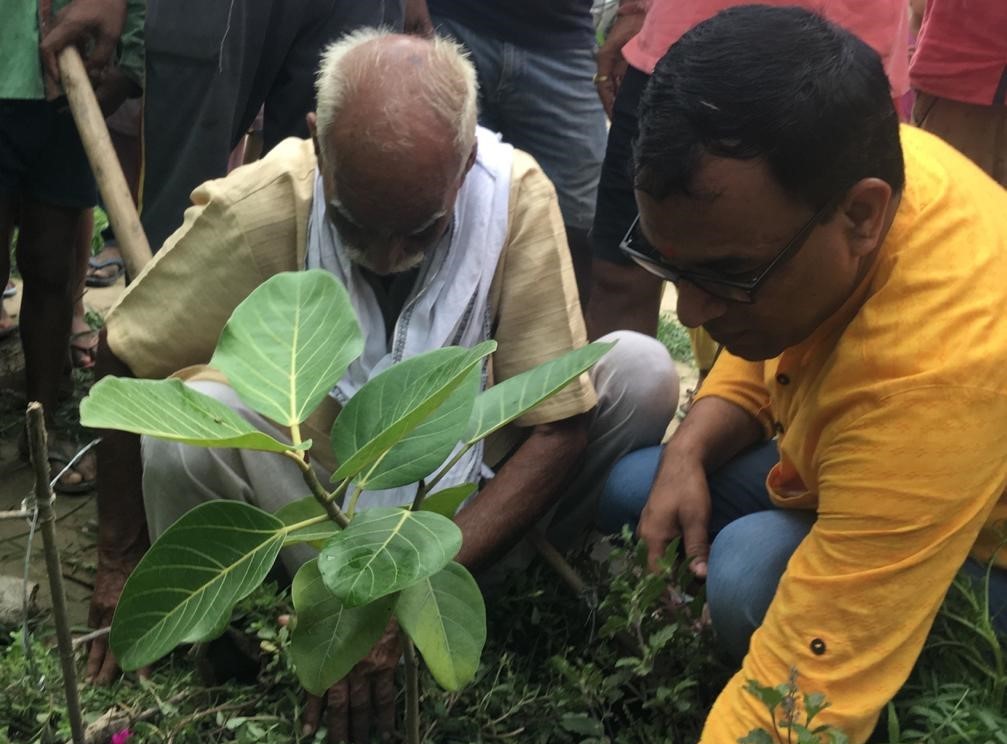sapling planted by grandfather and father