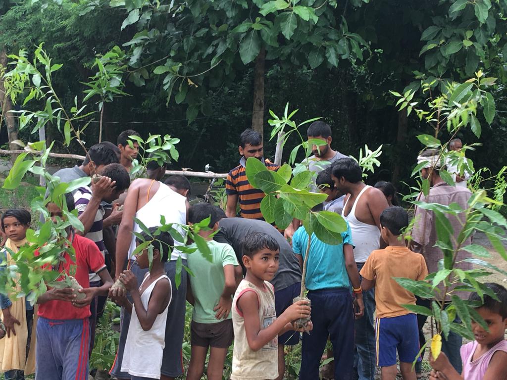Community Members planting tree sapling